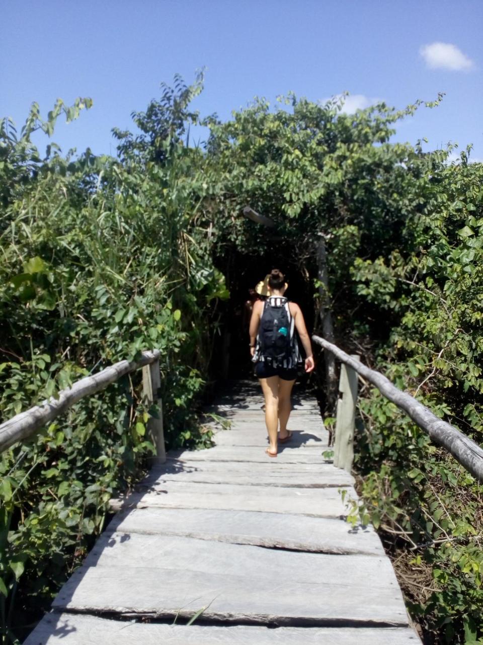 Arte Vida Hostel Itaunas  Kültér fotó